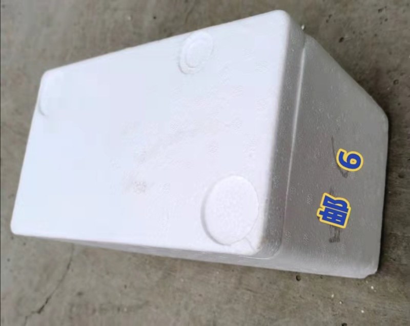 各种规格尺寸泡沫箱