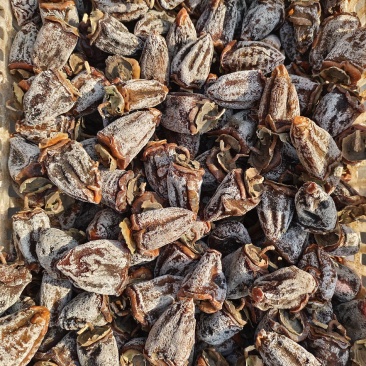 大量批发柿饼
