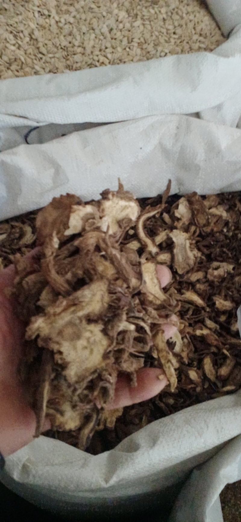 【独活】.常年经营各种中药材冷背药.中药材批发.质量保证