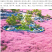 粉黛乱子草种子毛芒乱子草粉米利花海庭院景观花卉多年生观赏