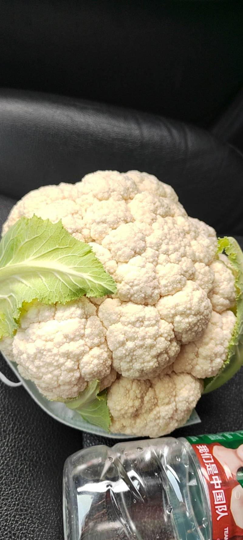 【实花菜】精品花菜大量上市现砍现发一手货源欢迎采购
