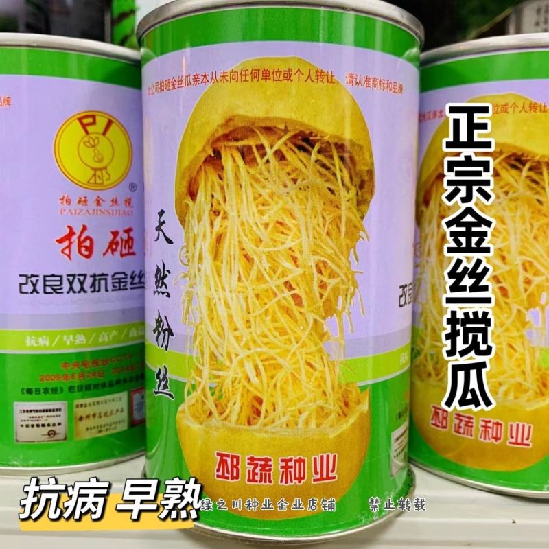 天然粉丝南瓜种子金丝搅瓜种子抗病拍砸改良双抗金丝瓜种子