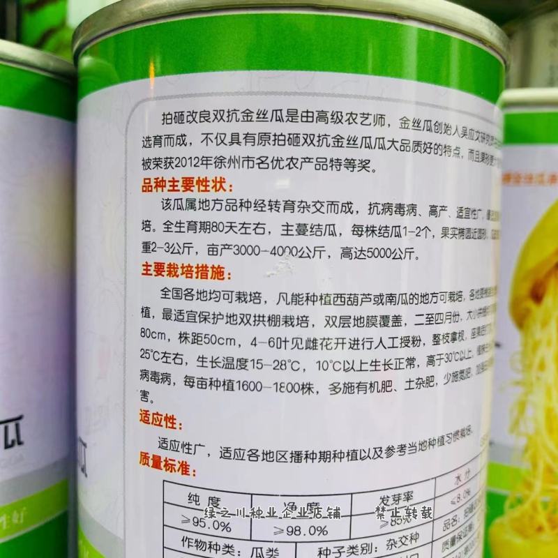 天然粉丝南瓜种子金丝搅瓜种子抗病拍砸改良双抗金丝瓜种子