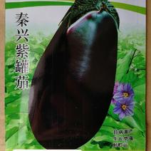 紫罐茄露地栽培品种籽少白肉软绵耐热抗性品质好