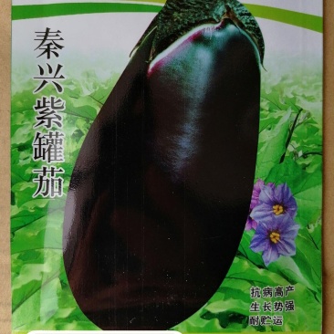 紫罐茄露地栽培品种籽少白肉软绵耐热抗性品质好