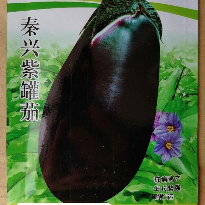 紫罐茄露地栽培品种籽少白肉软绵耐热抗性品质好