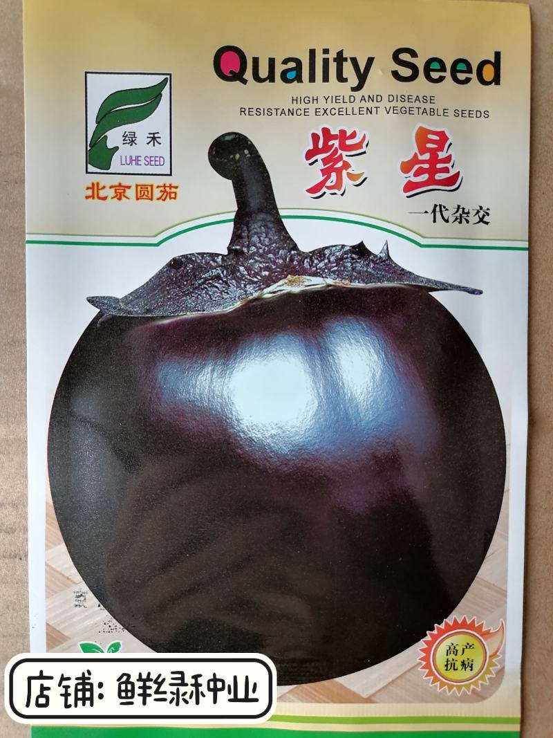 紫罐茄露地栽培品种籽少白肉软绵耐热抗性品质好