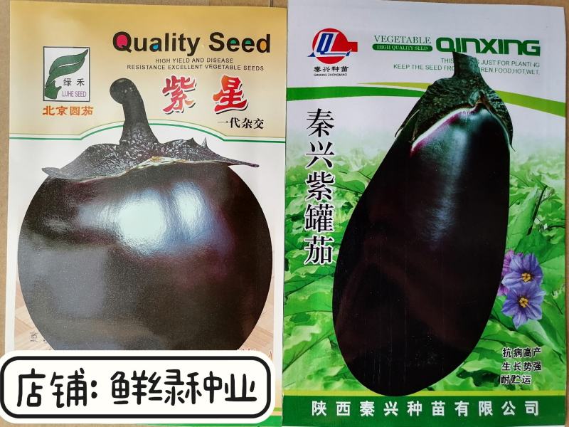 紫罐茄露地栽培品种籽少白肉软绵耐热抗性品质好