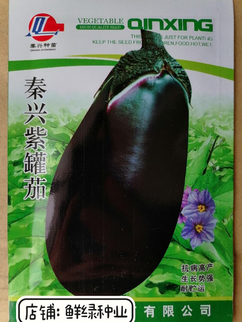 紫罐茄露地栽培品种籽少白肉软绵耐热抗性品质好