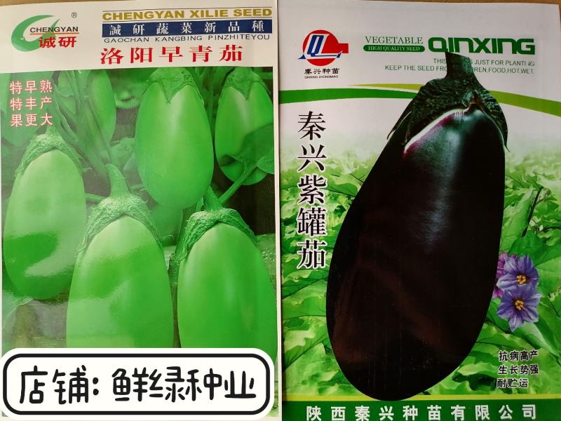 紫罐茄露地栽培品种籽少白肉软绵耐热抗性品质好