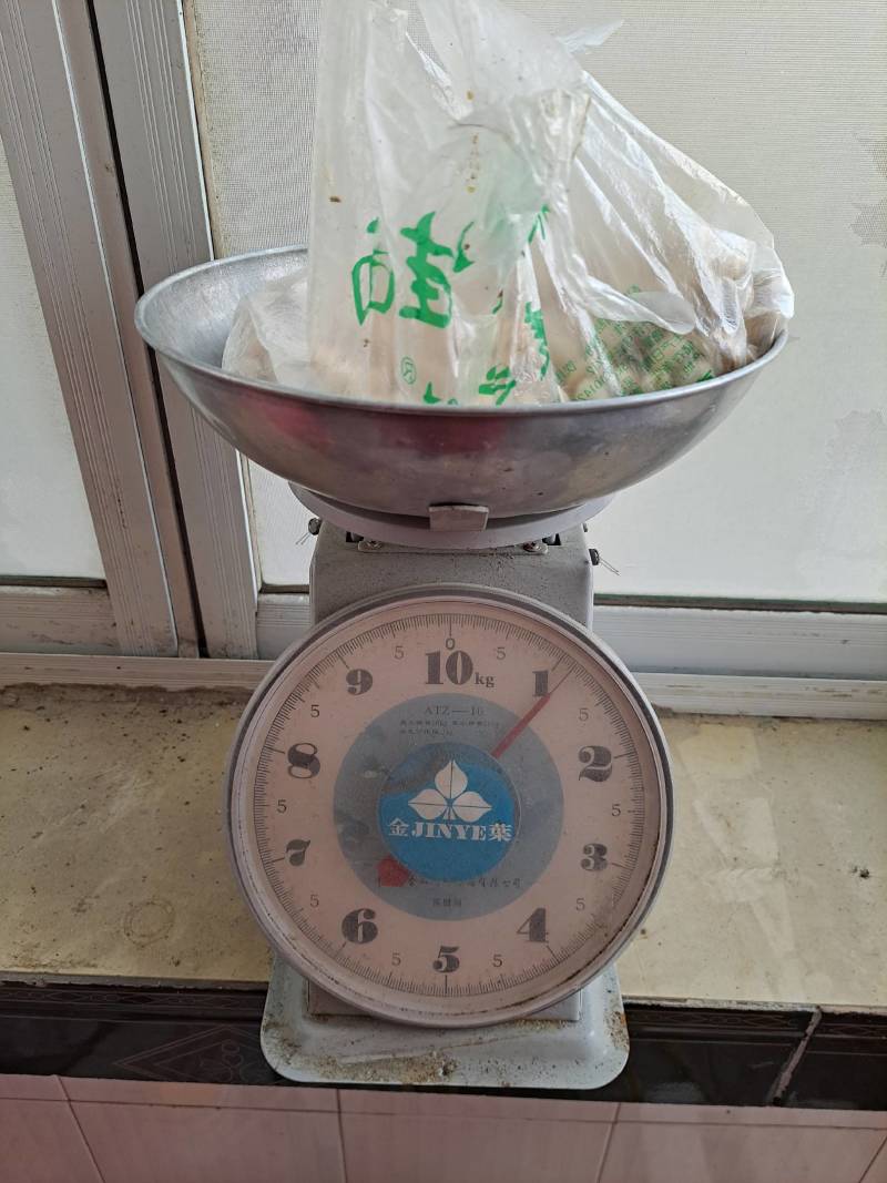 白果
