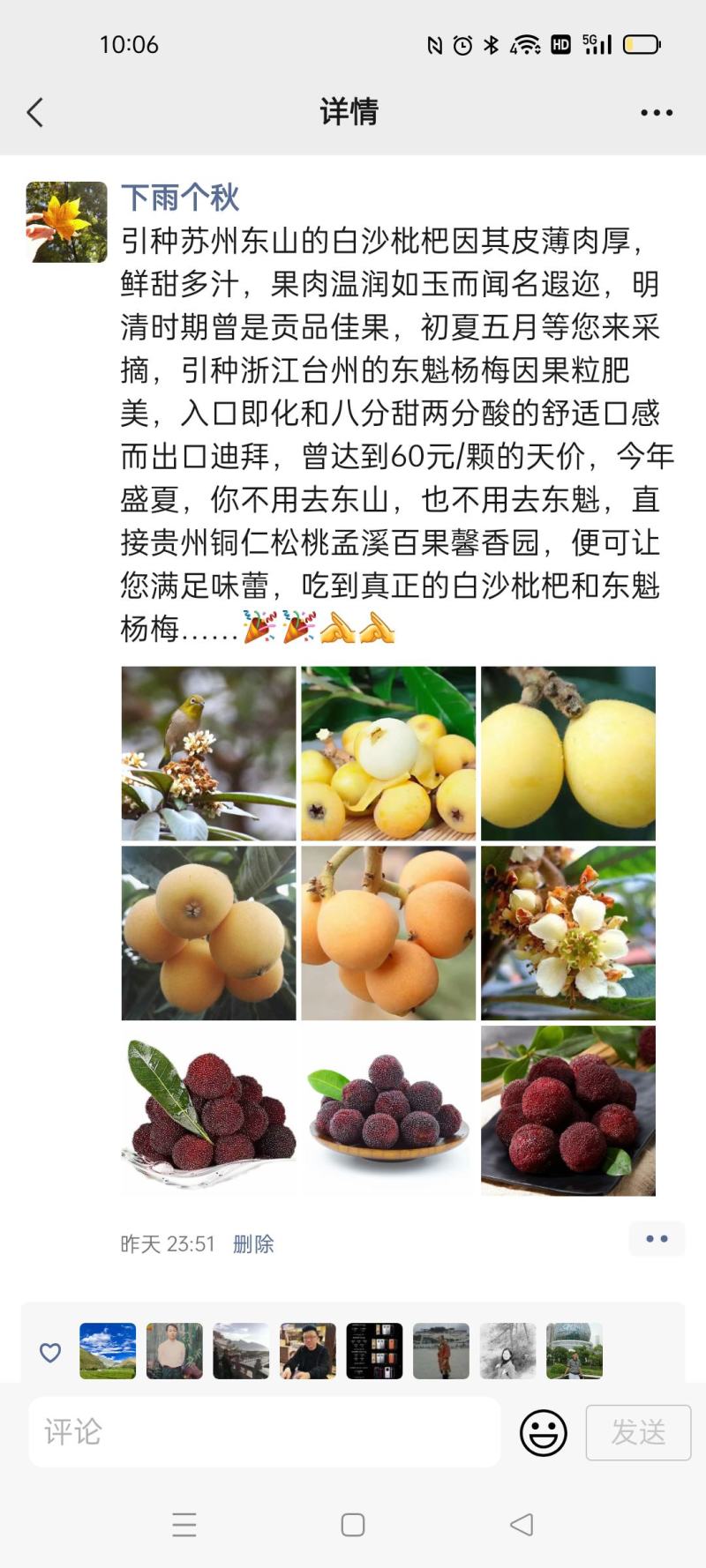 白沙枇杷