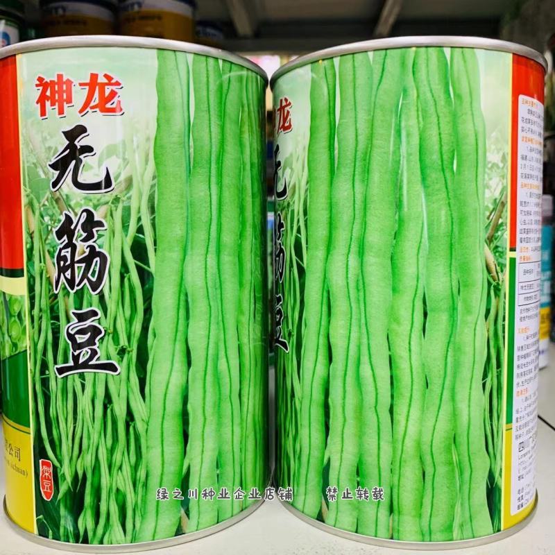 神龙无筋豆种子早熟架豆种子无筋无纤维荚长翠绿长顺实心
