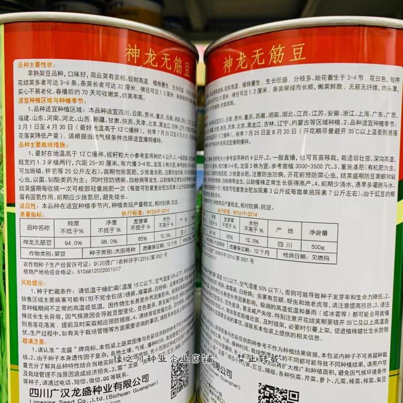神龙无筋豆种子早熟架豆种子无筋无纤维荚长翠绿长顺实心