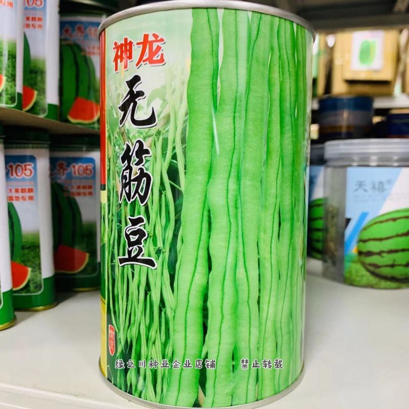 神龙无筋豆种子早熟架豆种子无筋无纤维荚长翠绿长顺实心