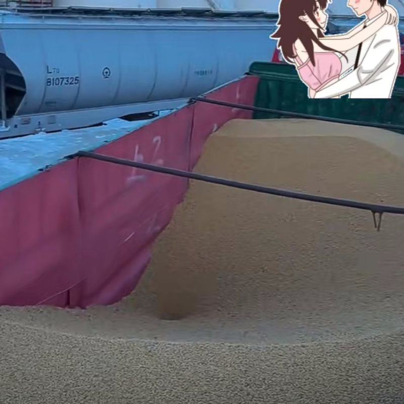 要多少有多少