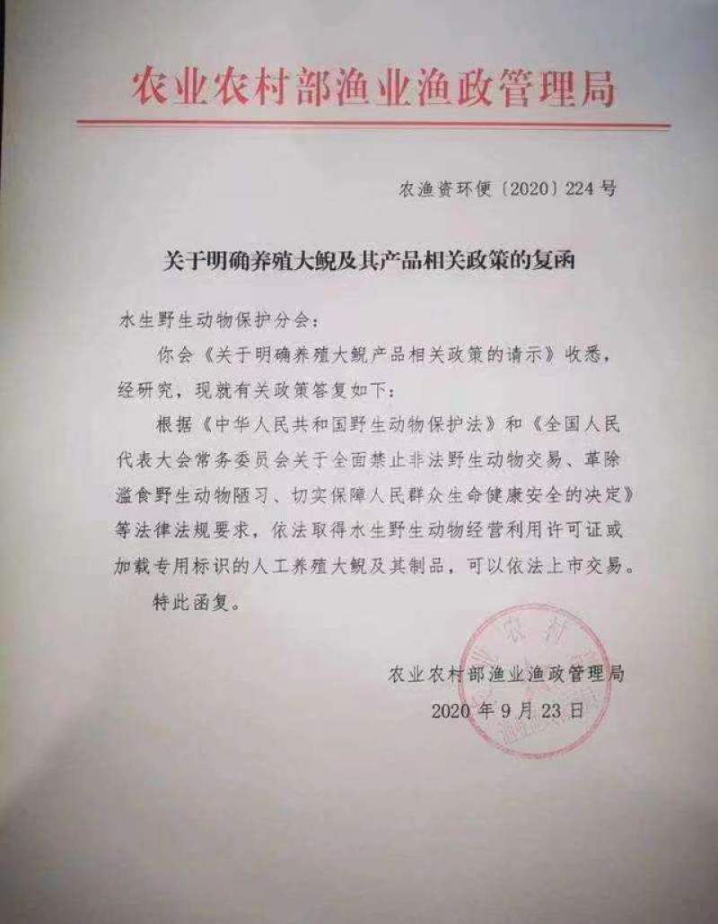 好货推荐大鲵娃娃鱼厂家直供批发零售仿生态养殖