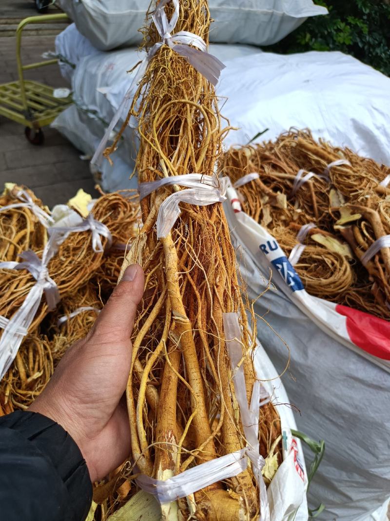 本地五指毛桃，山地货香味十足干度十足无硫，广东韶关山区货