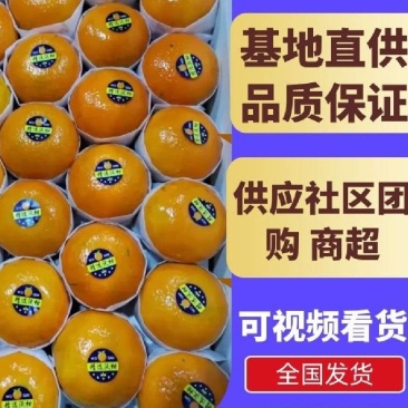 【优选】沃柑沃柑基地直供口感纯甜不干水，