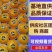 【优选】沃柑沃柑基地直供口感纯甜不干水，
