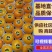 【优选】沃柑沃柑基地直供口感纯甜不干水，