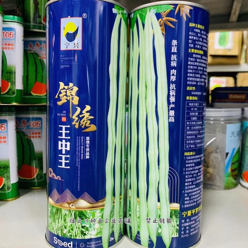 基地专用品种锦绣架豆王种子无筋豆条直抗病肉厚白架豆种子