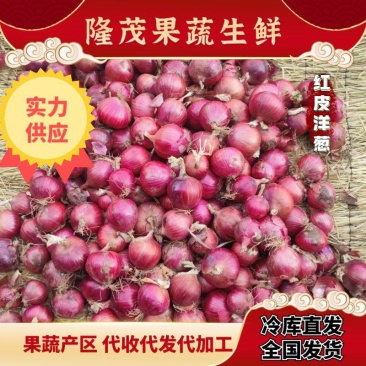 河南开封洋葱二红洋葱大量上市,代存代储代发全国