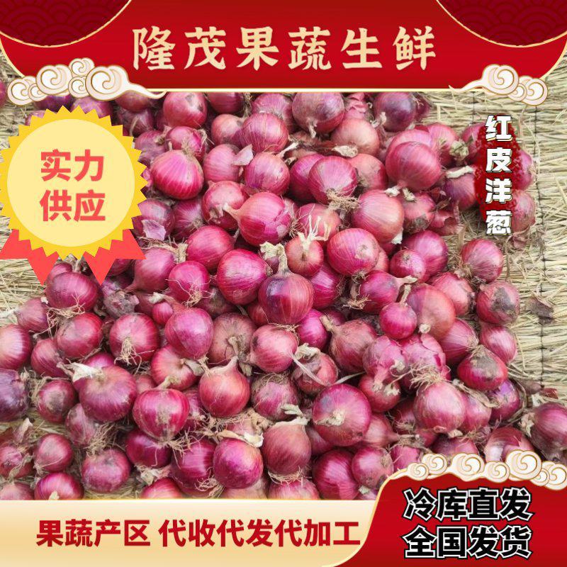 河南开封洋葱二红洋葱大量上市，代存代储代发全国