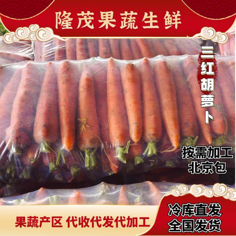 北京包胡萝卜杂交三红胡萝卜20斤包货源充足