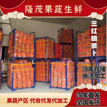 三红胡萝卜水洗加工冷库出货规格齐全代收代发代加工