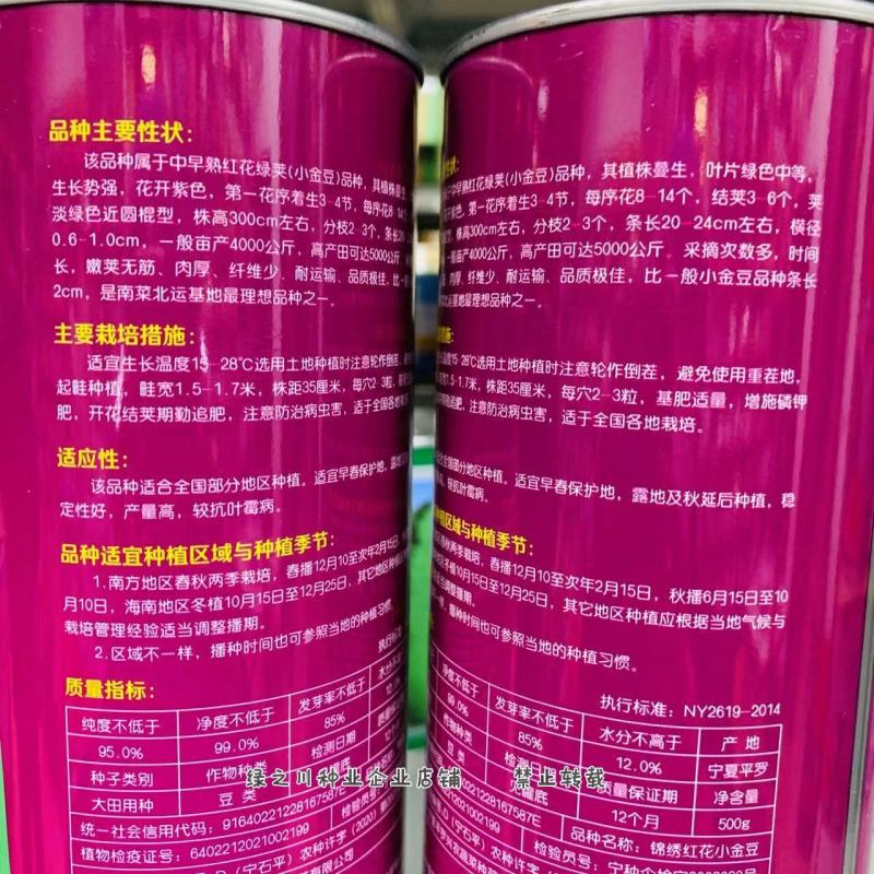 蔬菜基地专用小金豆种子嫩荚无筋四季豆种子红花绿荚肉厚