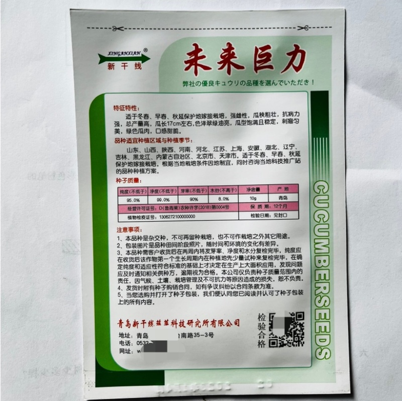 新干线未来巨力强磁水果黄瓜品种种子