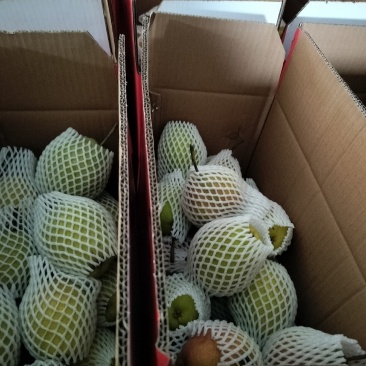 红香酥