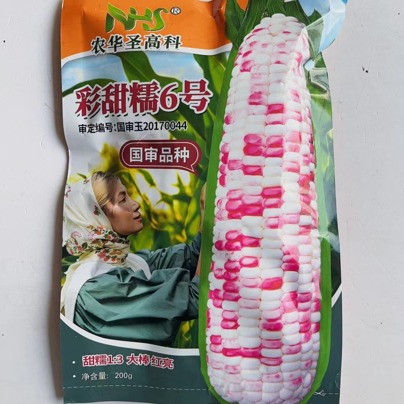 彩糯玉米种子彩甜糯2号甜加糯品种种子
