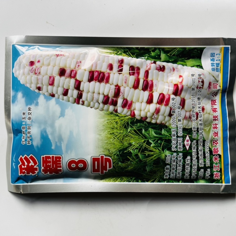 彩糯玉米种子彩甜糯2号甜加糯品种种子