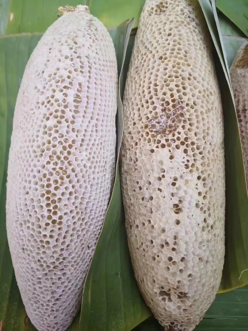 热带蜂蜜假一赔十挝，缅云热带高质量蜂蜜