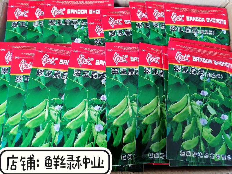 早熟耐高温红玉扁豆荚紫红色有光泽生长势强