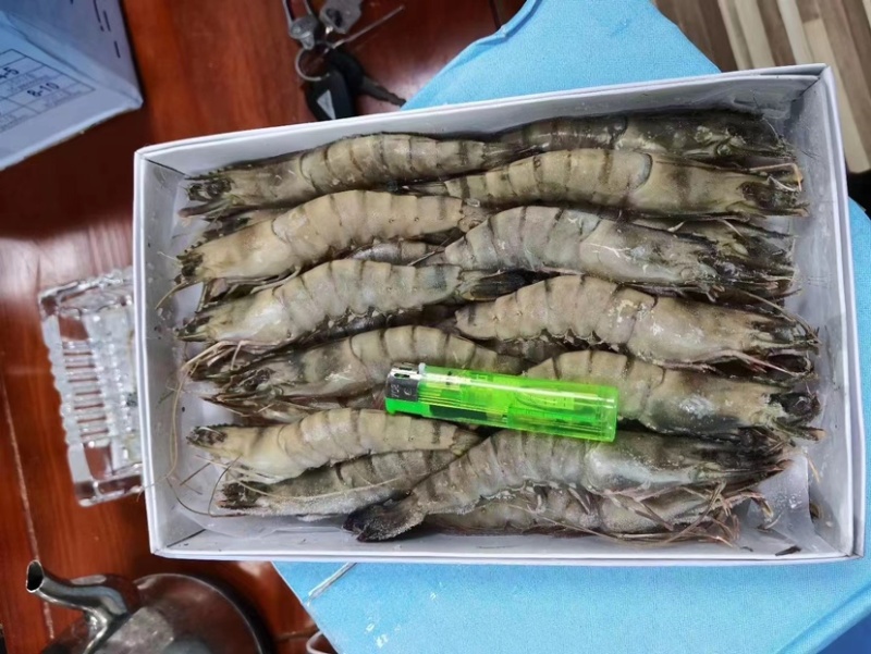 黑虎虾
