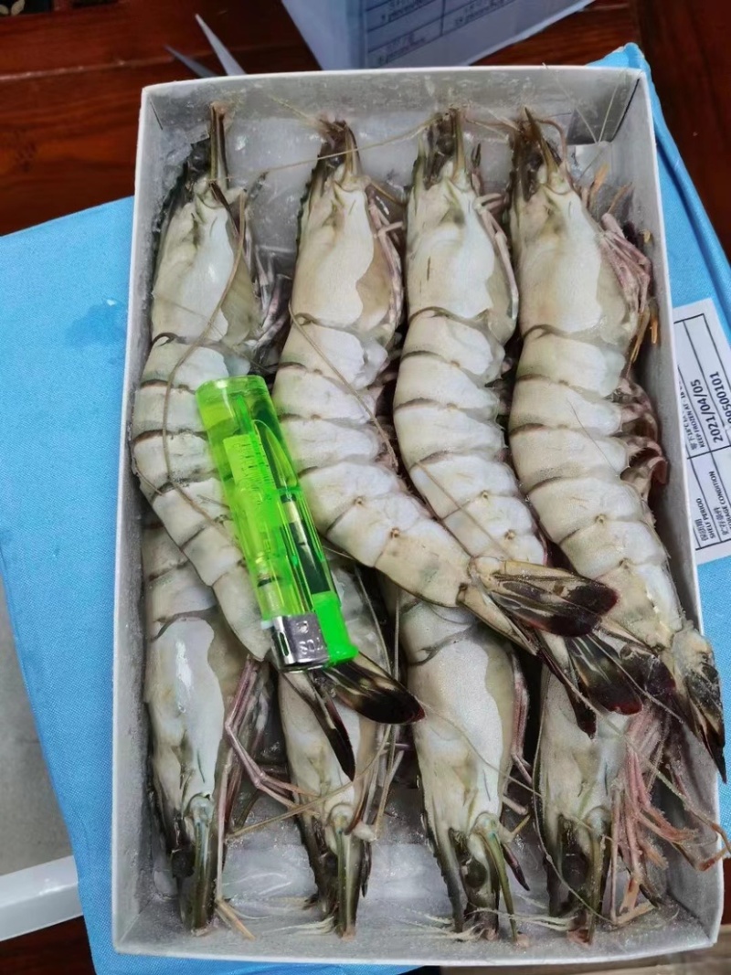 黑虎虾