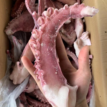 章鱼足