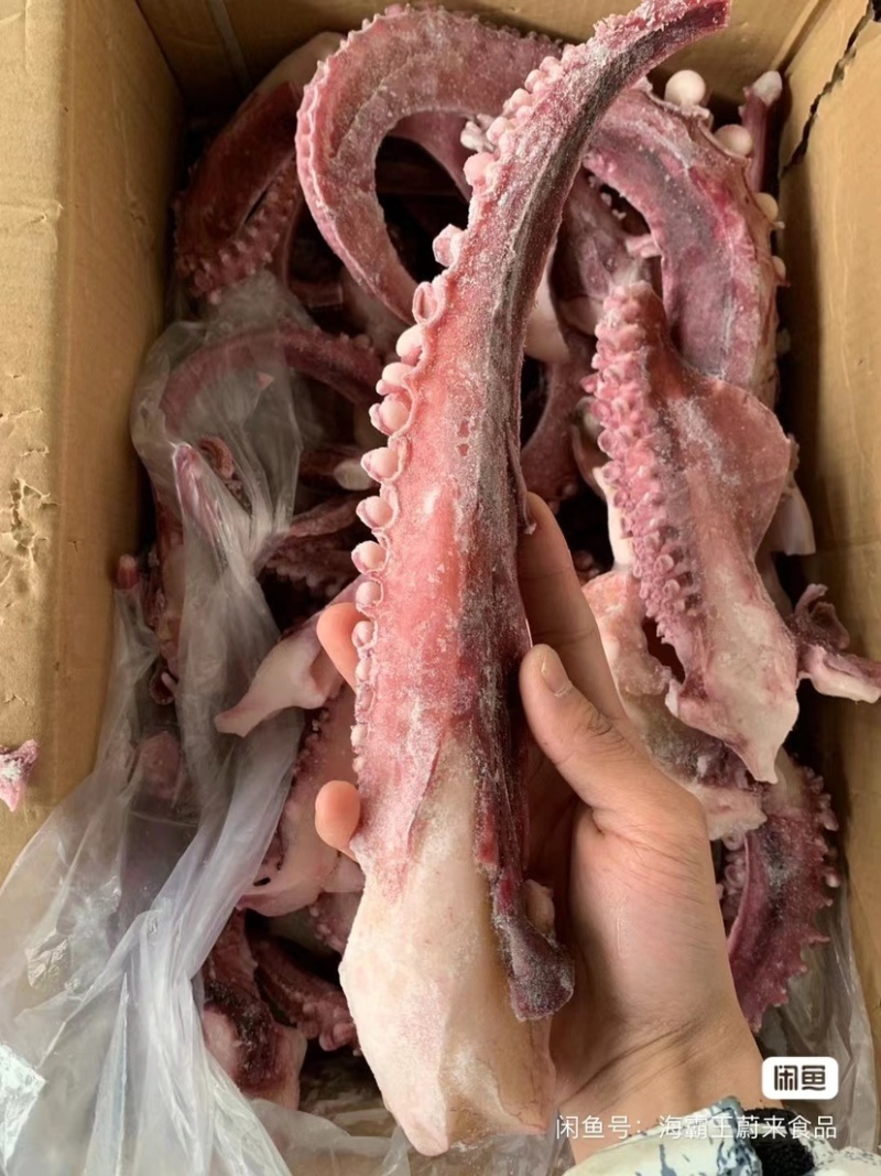 章鱼足