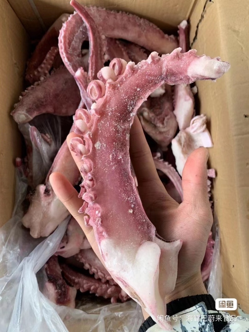 章鱼足