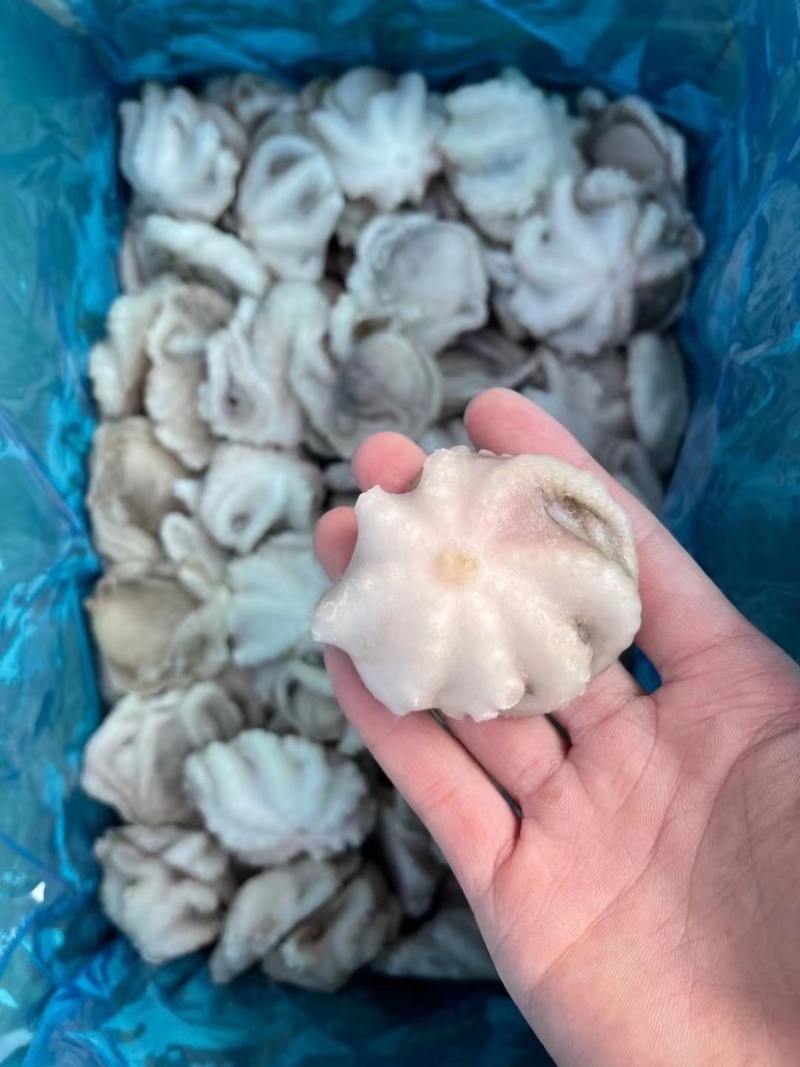 研磨小八爪
