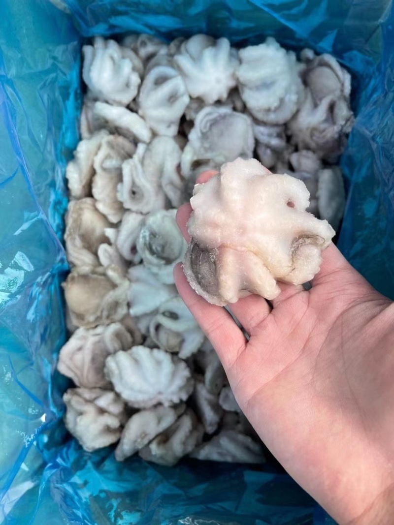 研磨小八爪