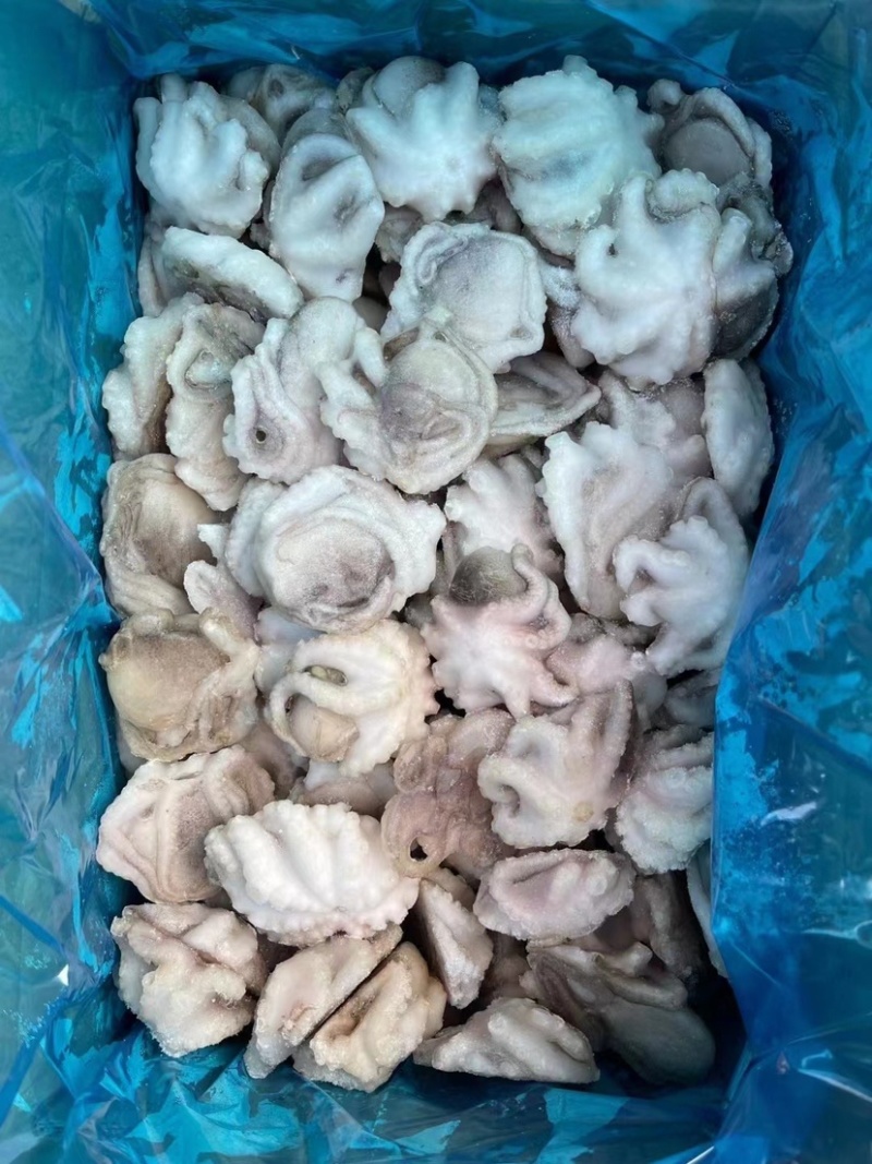 研磨小八爪