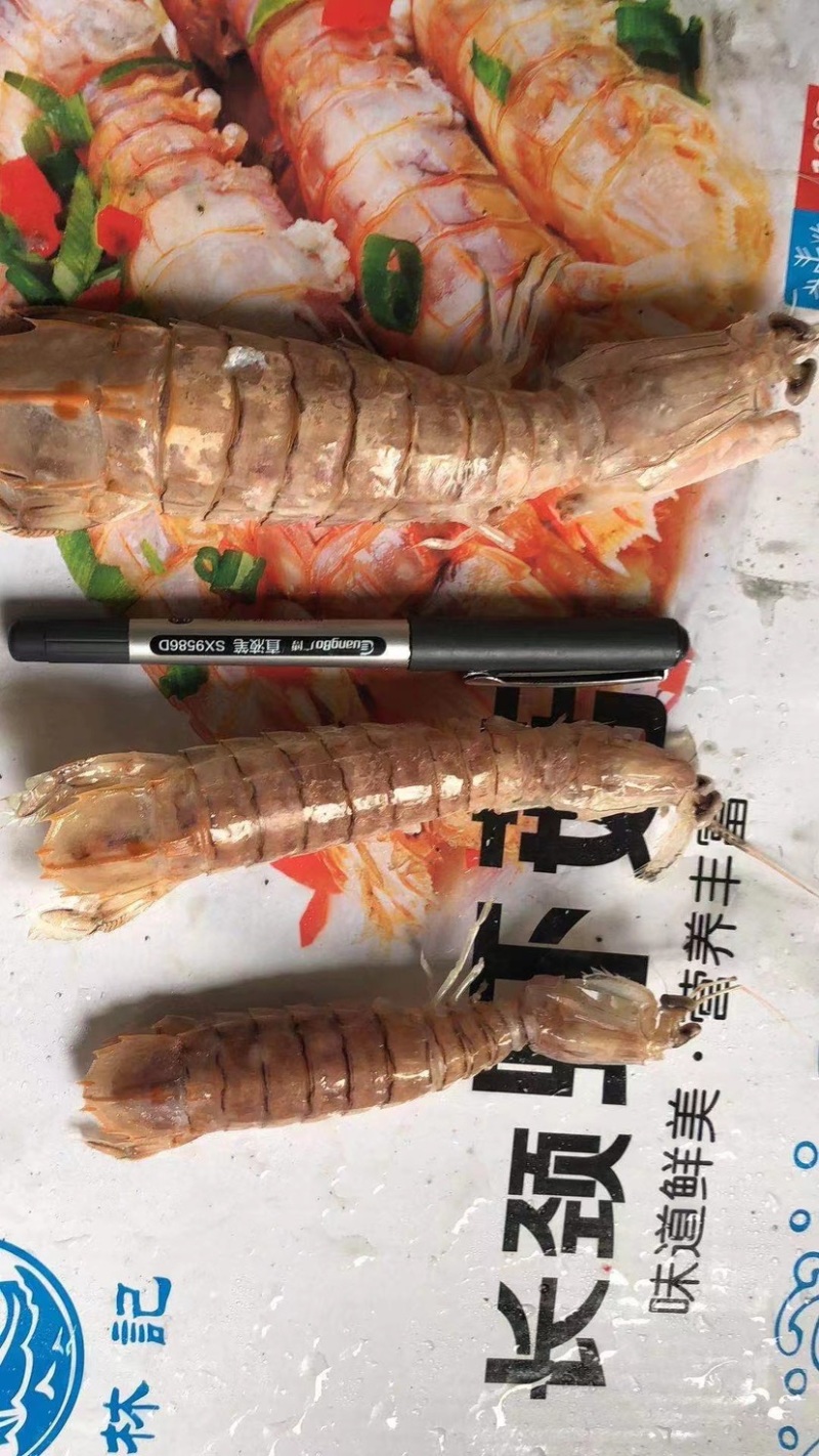 皮皮虾