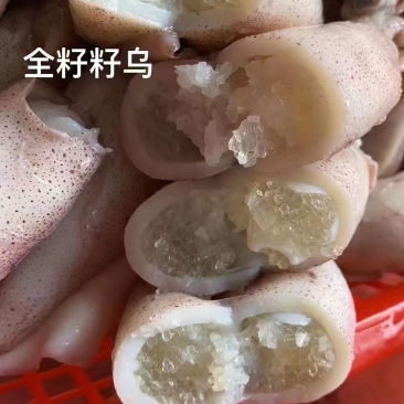 籽乌