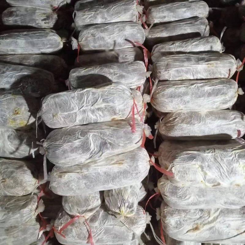 灵芝菌棒，食用菌，基地一手货源，质量保证，诚信经营，电联