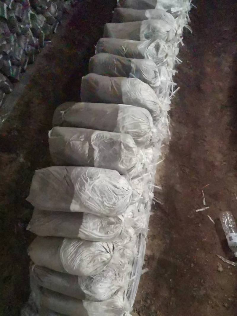 灵芝菌棒，食用菌，基地一手货源，质量保证，诚信经营，电联