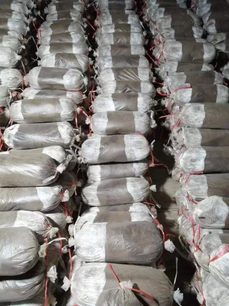 灵芝菌棒，食用菌，基地一手货源，质量保证，诚信经营，电联